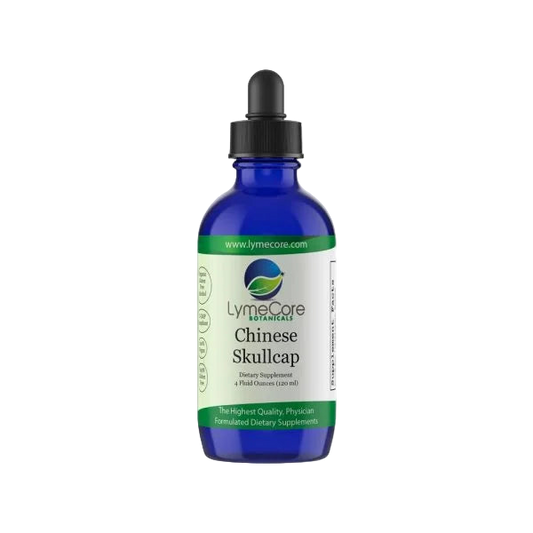 Chinese Skullcap