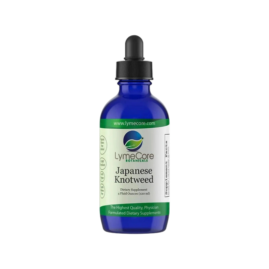 Japanese Knotweed