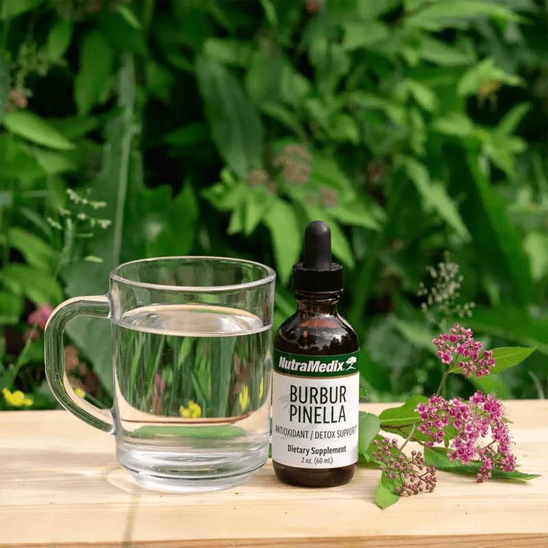 Burbur Pinella - 2oz