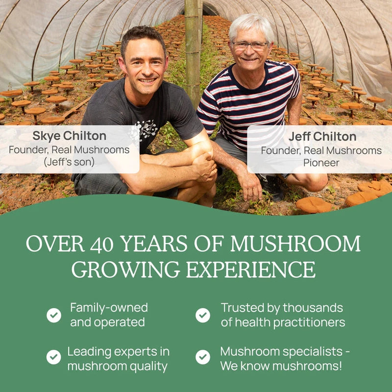 5 Defenders Organic Mushroom Blend Capsules